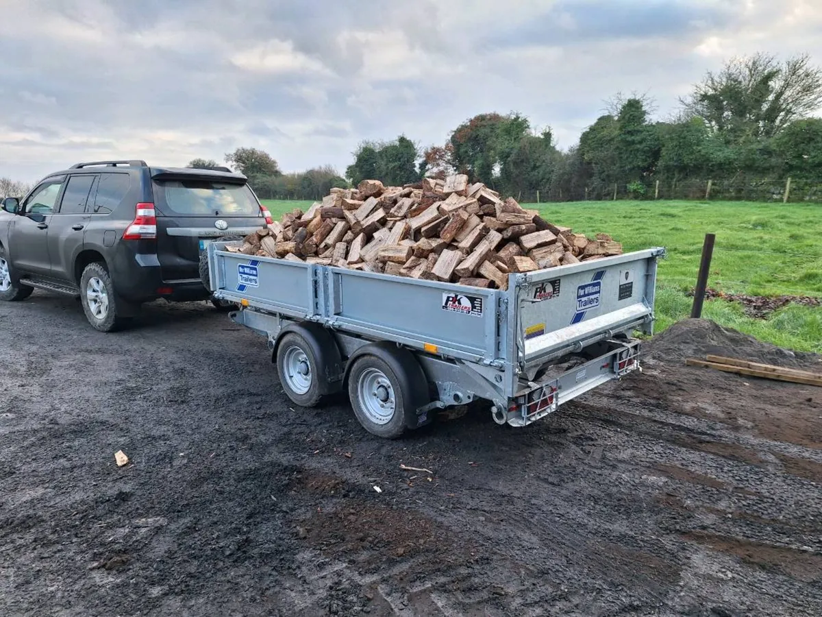 Firewood - Image 2