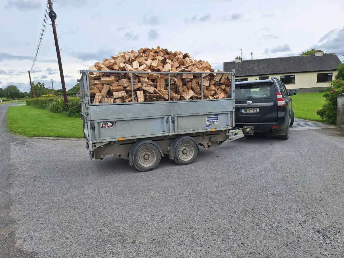 Firewood - Image 1