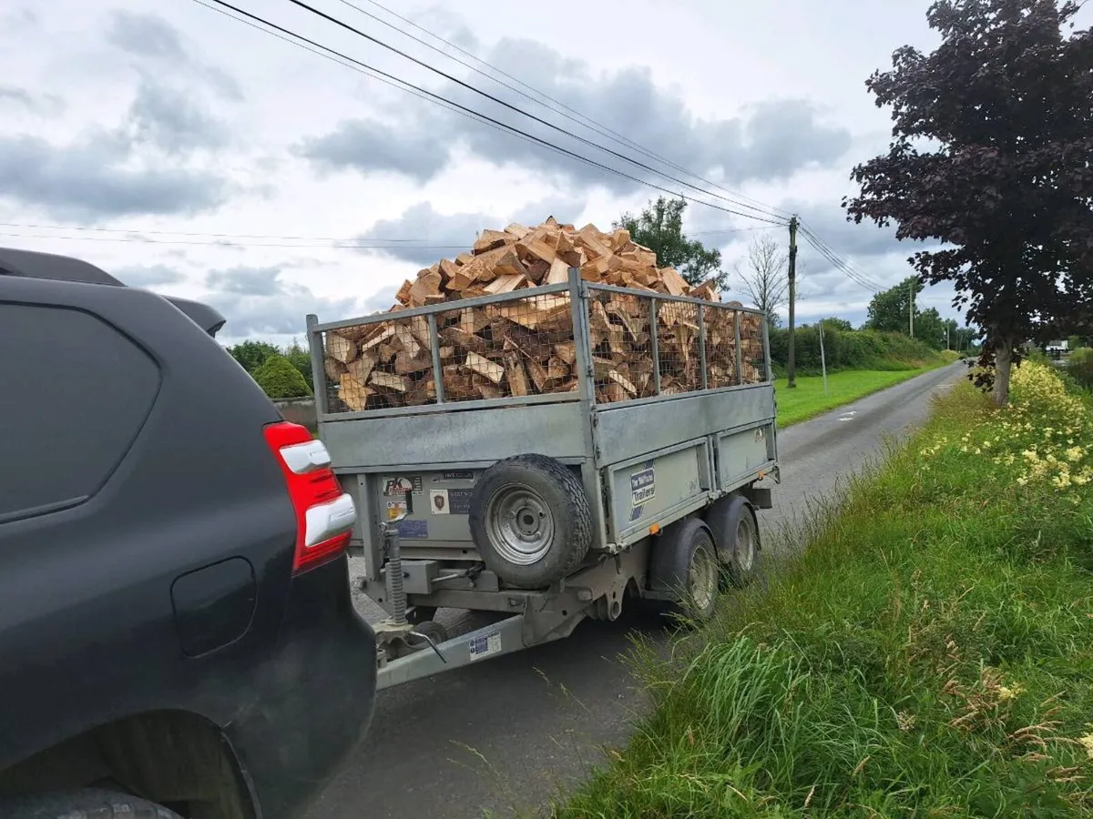 Firewood - Image 3