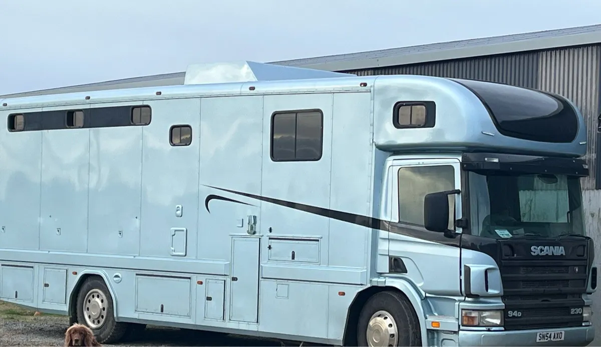 Wanted 4/5 stall Horse lorry