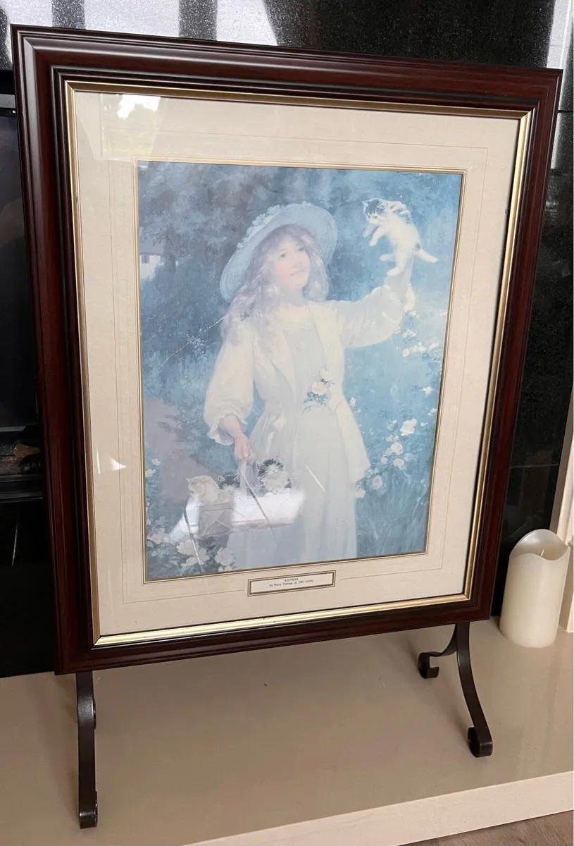 Mahogany Framed Picture Fire Screen - Image 1