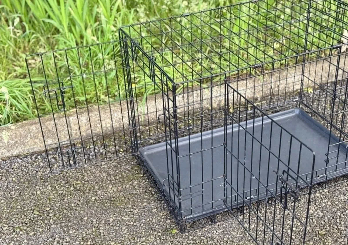 Large cage /carrier - Image 2
