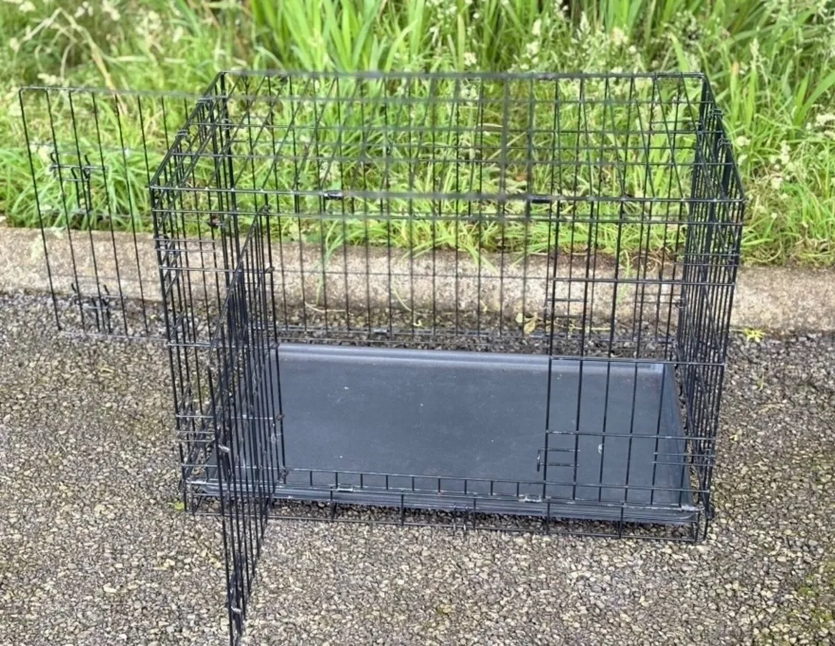 Large cage /carrier - Image 1