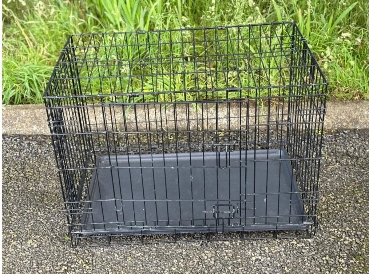 Large cage /carrier - Image 4