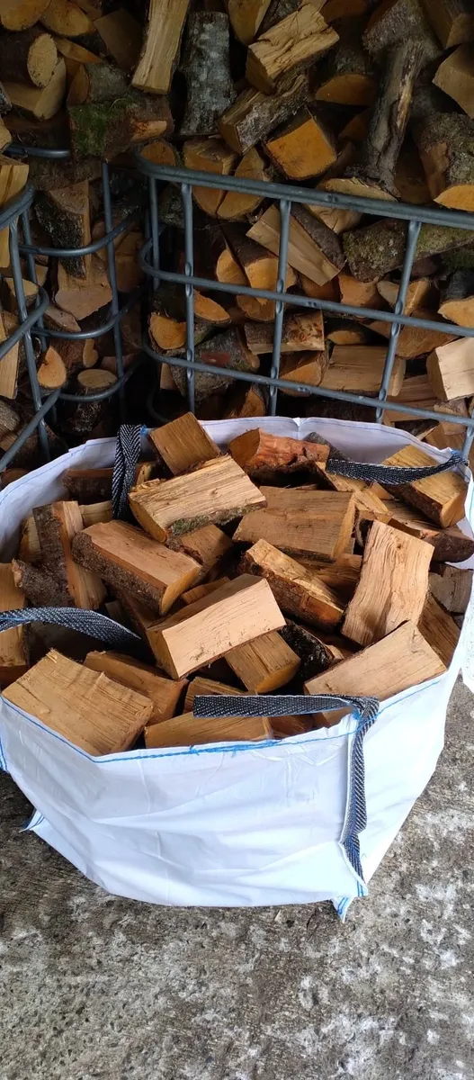 Alder hardwood Firewood - Image 2