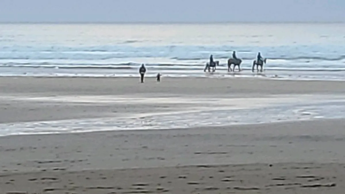 Ballybunion, Co. Kerry. - Image 1