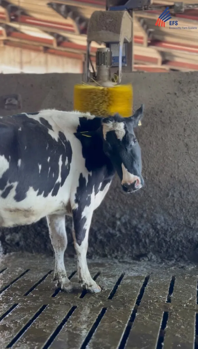 DeLaval Swinging Cow Brush - Image 1