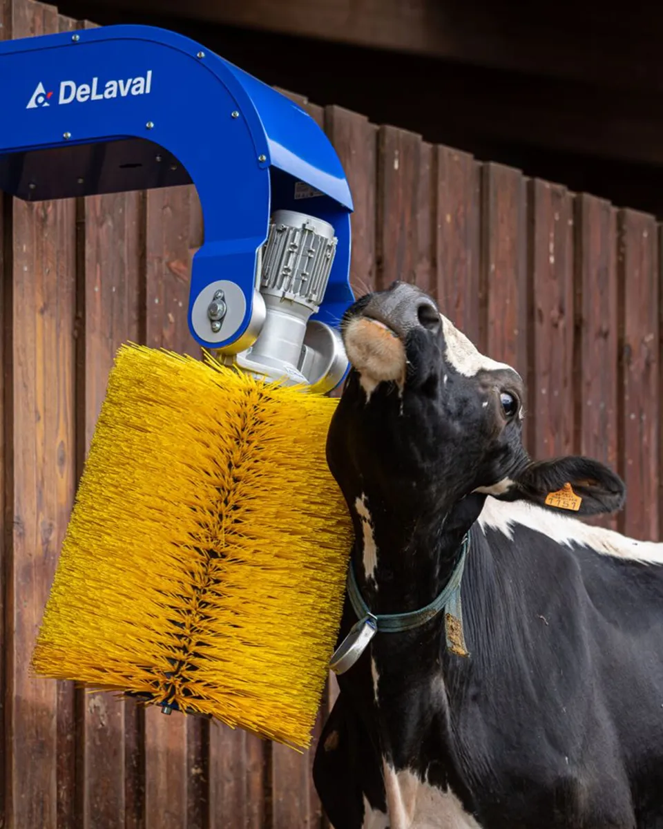 DeLaval Swinging Cow Brush - Image 3