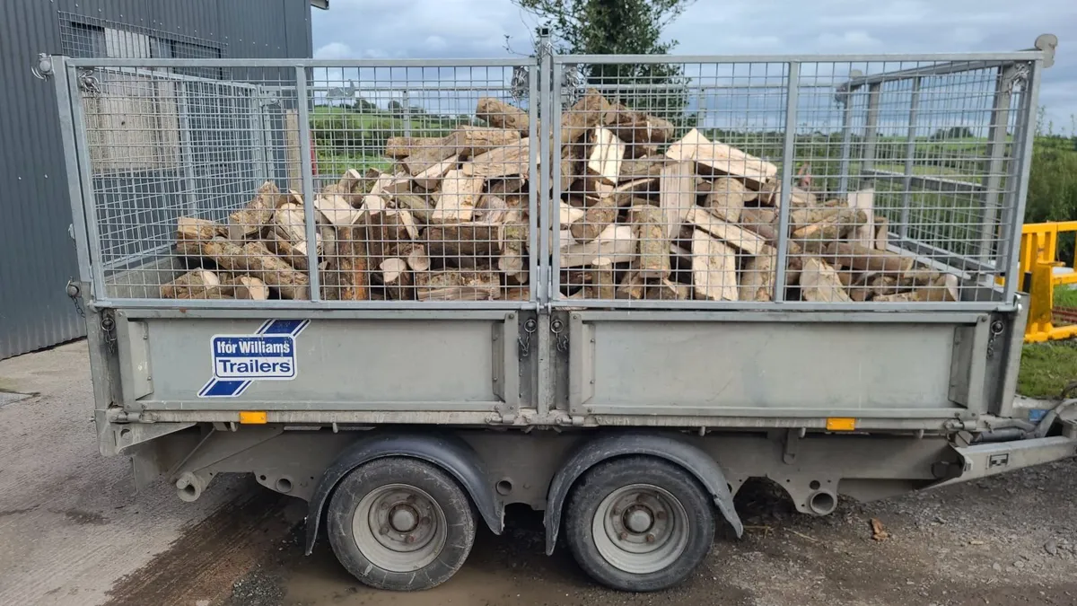 Ash Firewood - Image 4