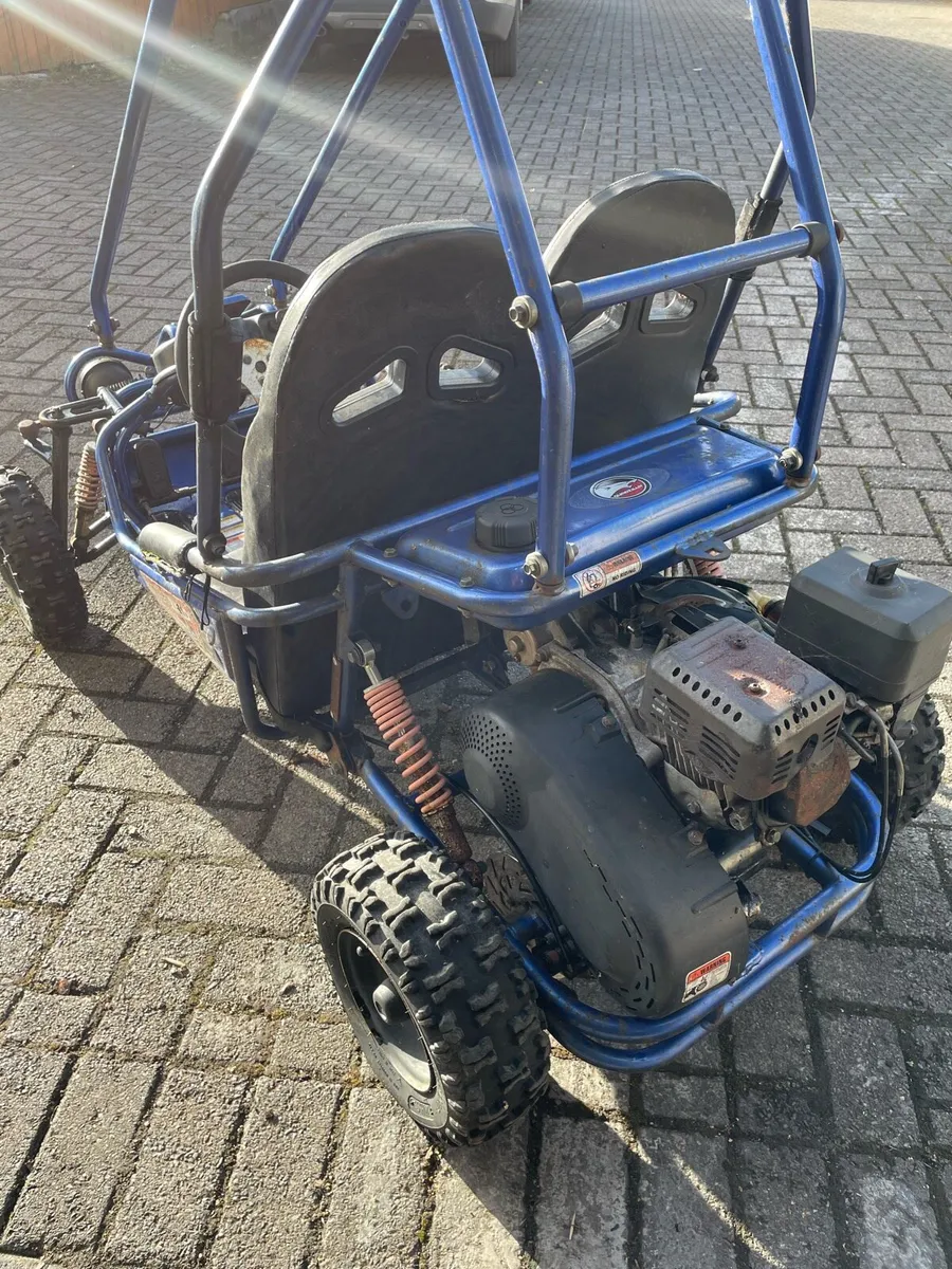 Buggy - Image 4