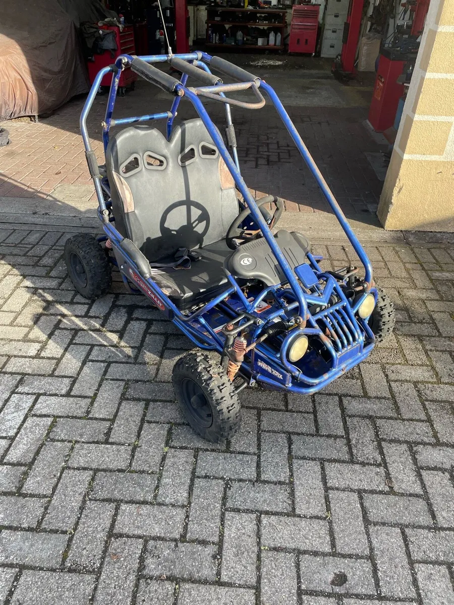 Buggy - Image 2