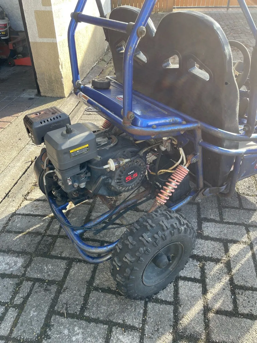 Buggy - Image 3