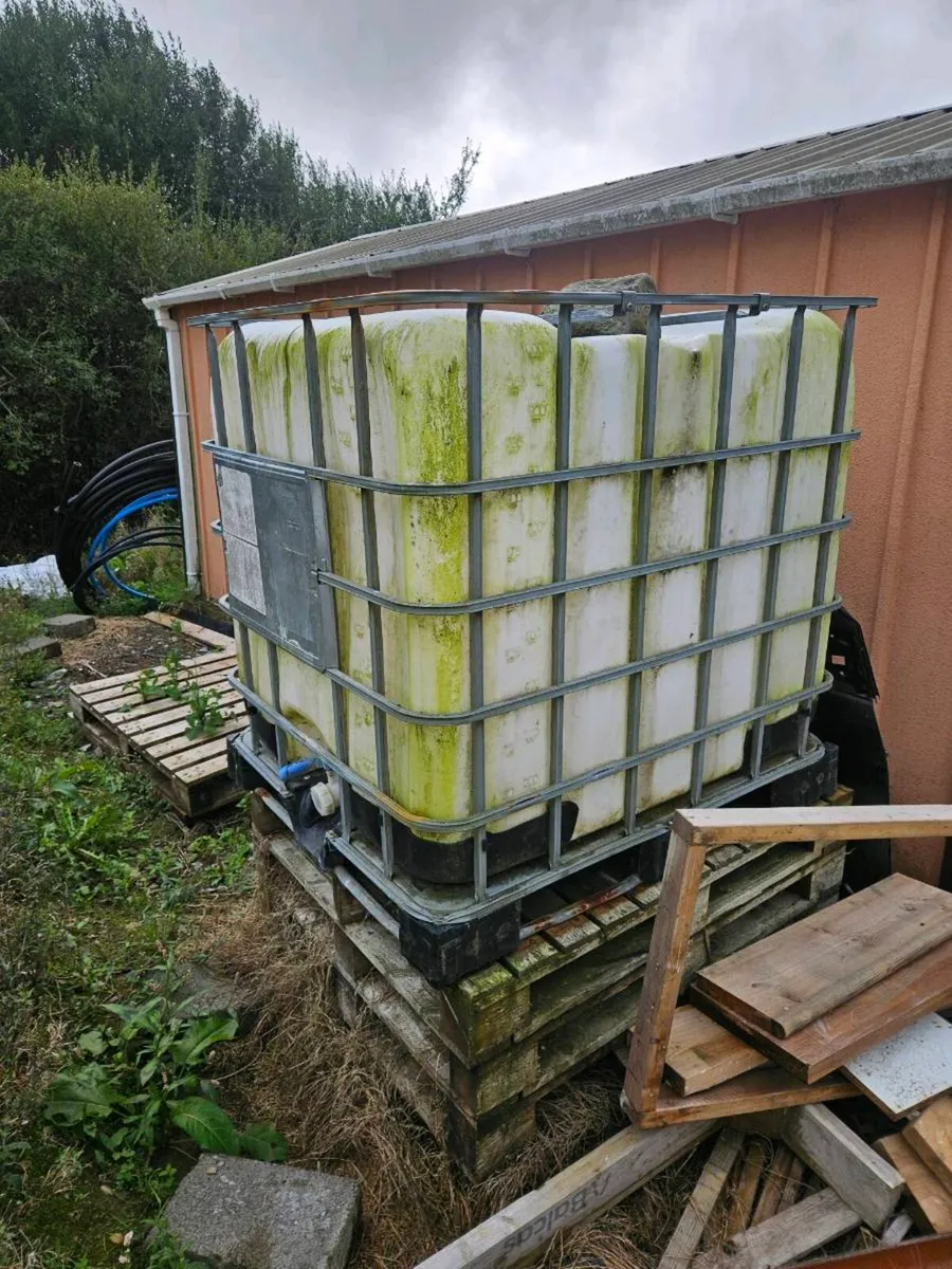 IBC - Image 1