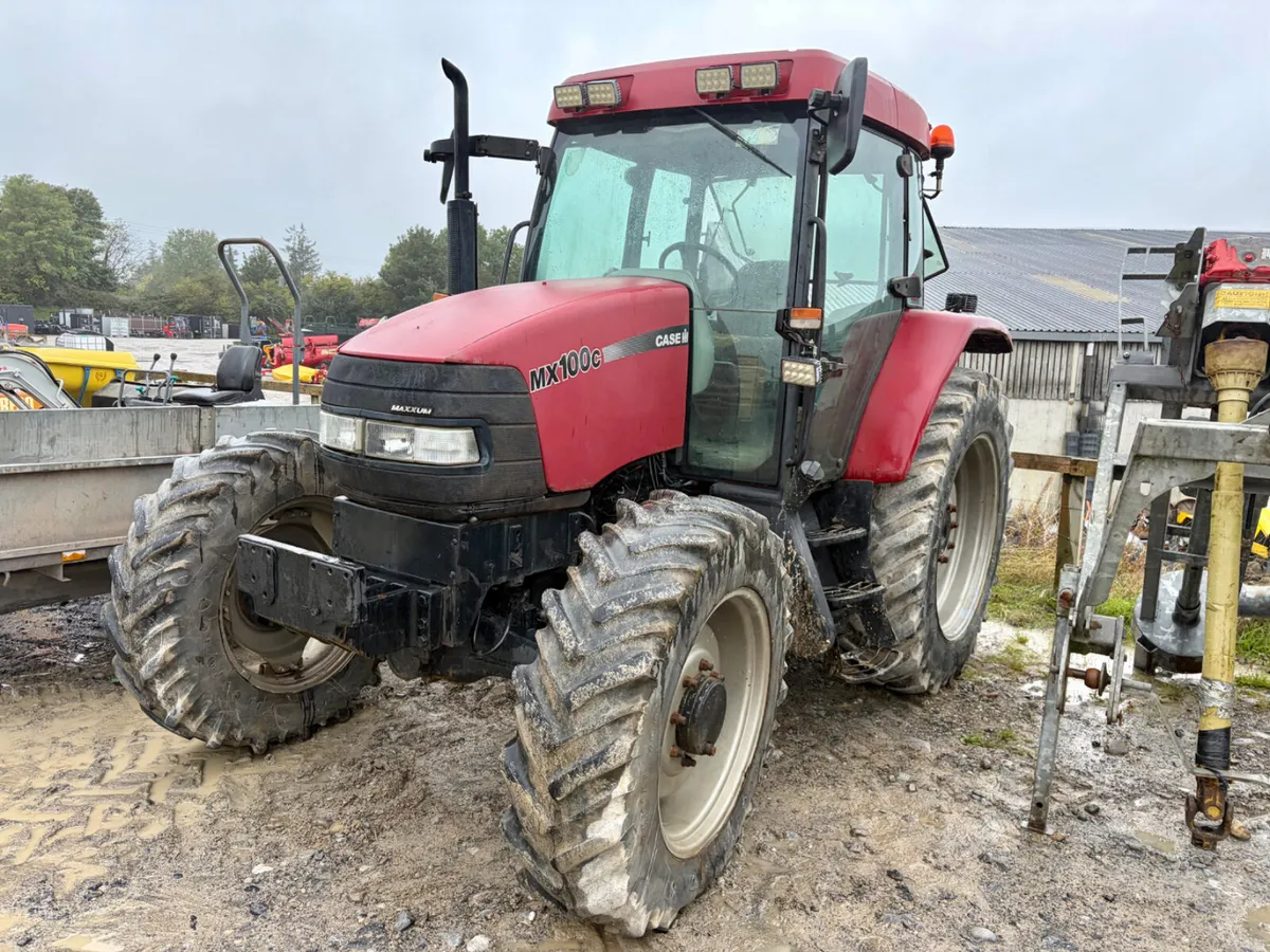 Portlaoise Auction Yard Full 1000 lots - Image 3