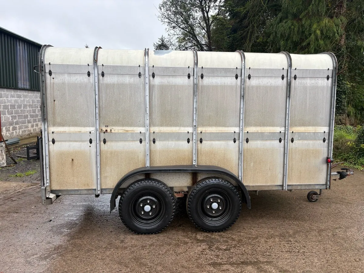 12x6 cattle trailer - Image 4
