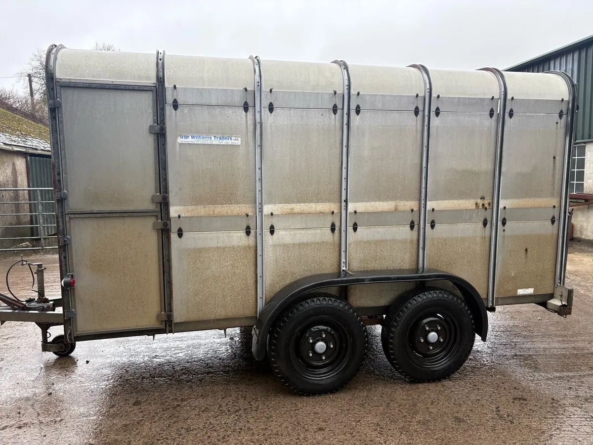 12x6 cattle trailer - Image 2