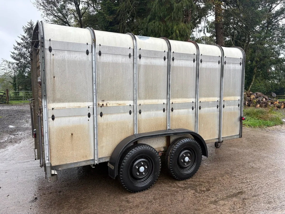 12x6 cattle trailer - Image 3
