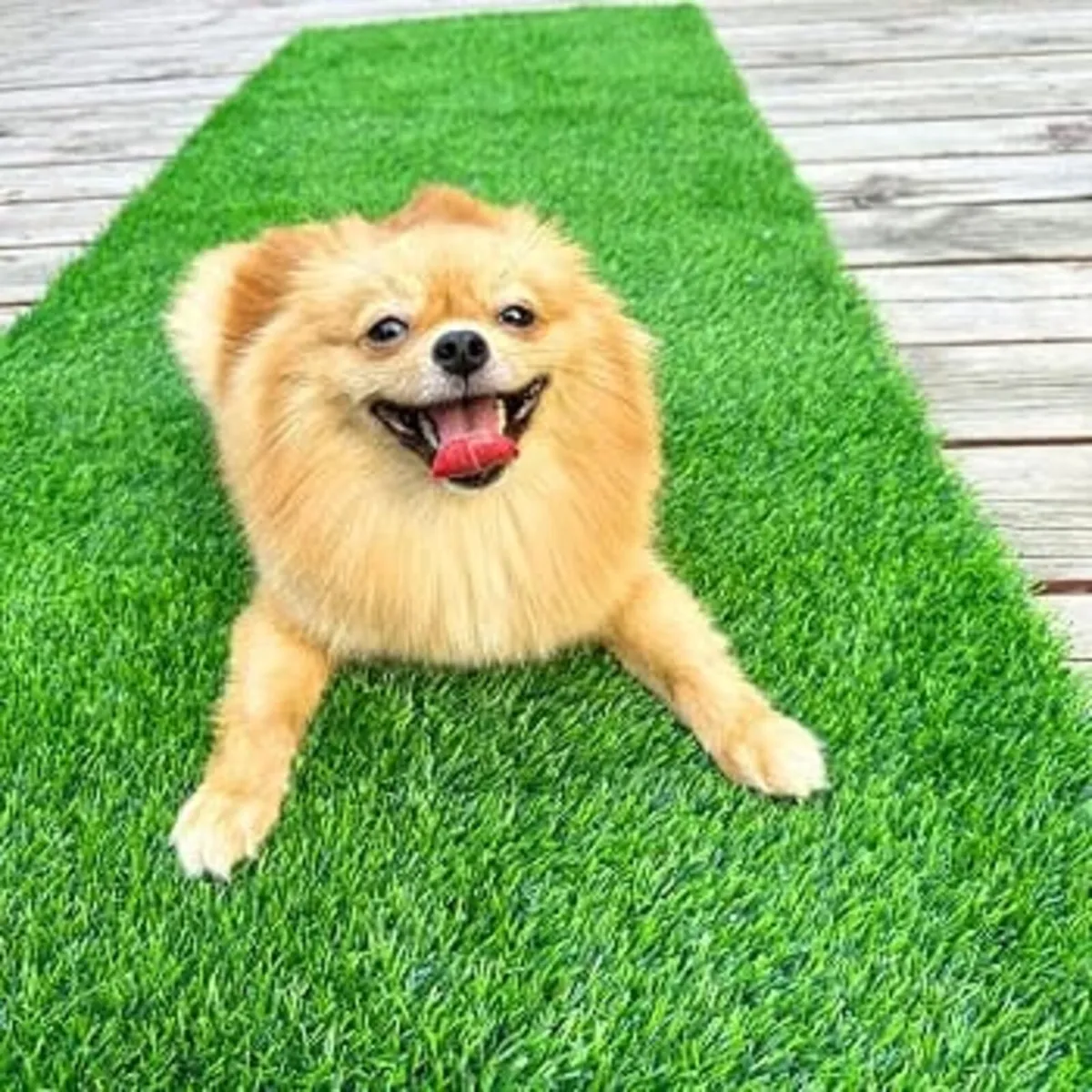 High-Density Premium Artificial Grass Turf Mat 20m - Image 3