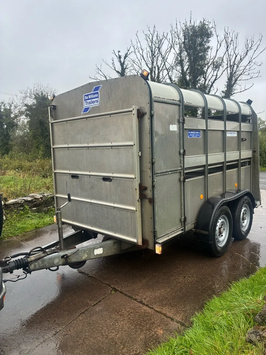 Ifor Williams 10 foot Cattle Trailer - Image 1