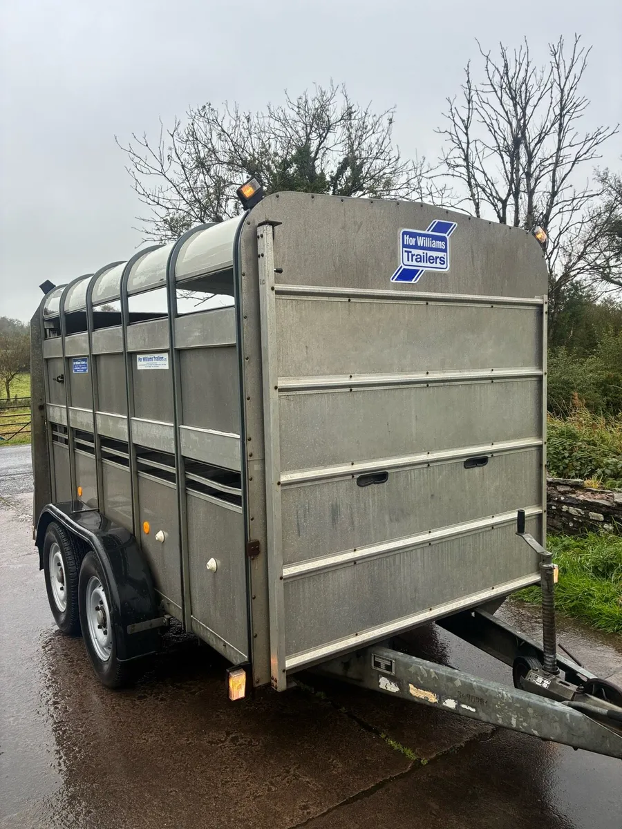 Ifor Williams 10 foot Cattle Trailer - Image 2