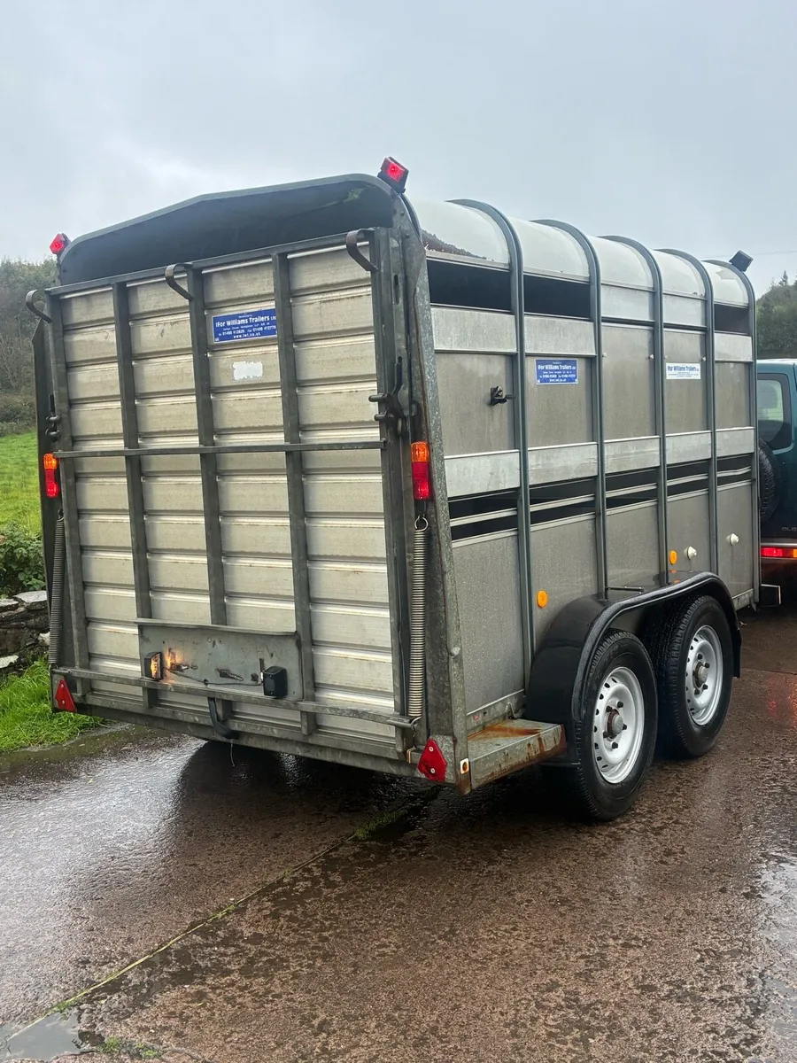 Ifor Williams 10 foot Cattle Trailer - Image 3