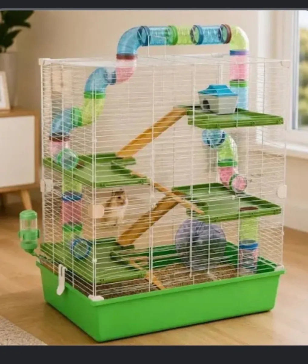 Dwarf hamster and cage - Image 3