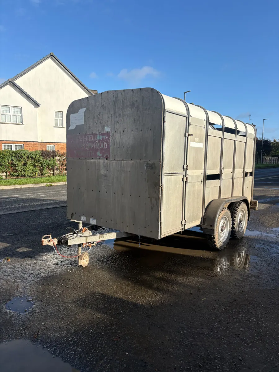 Ifor Williams 12x6 cattle trailer - Image 1