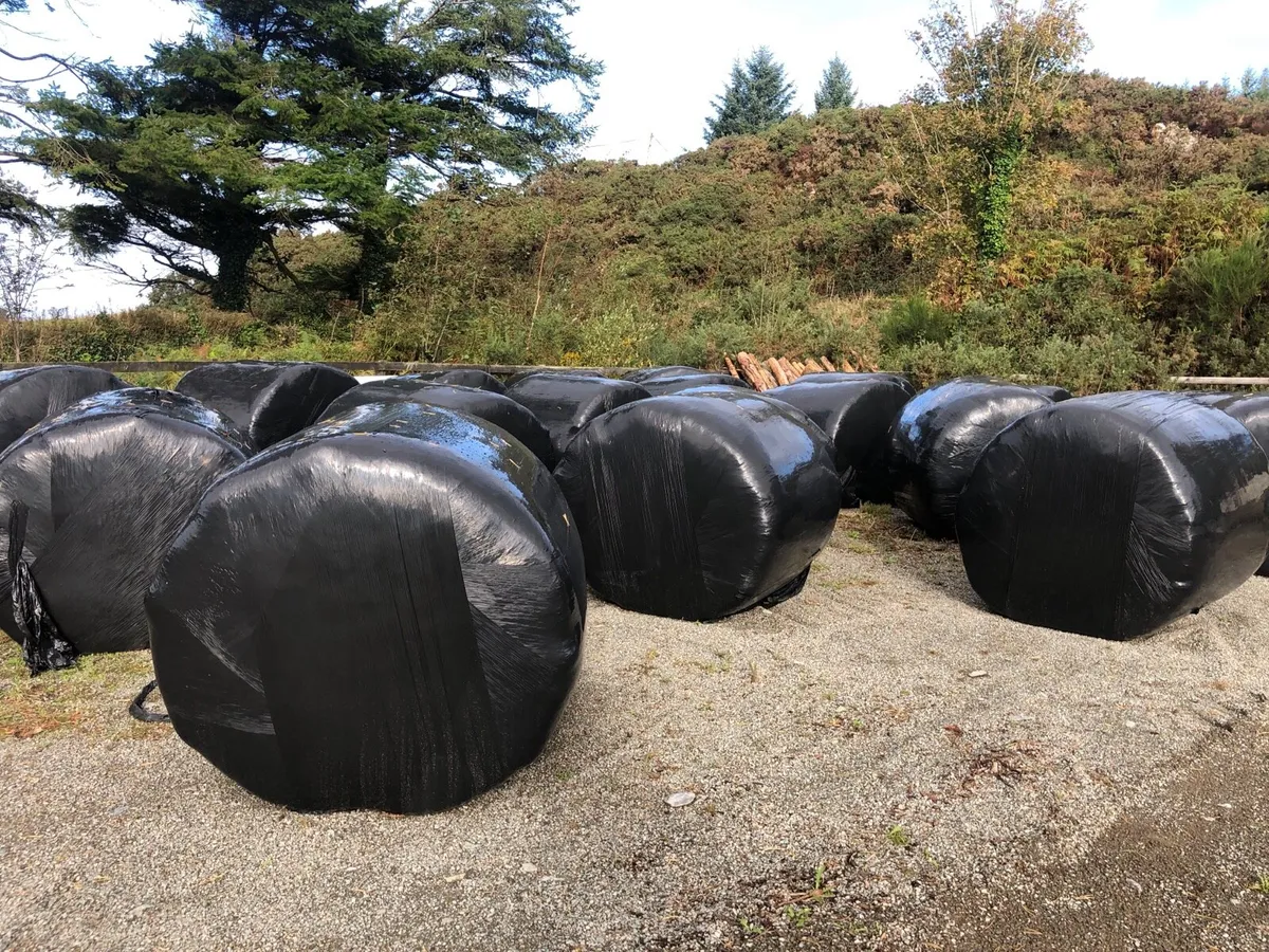 Organic Hay and Haylage
