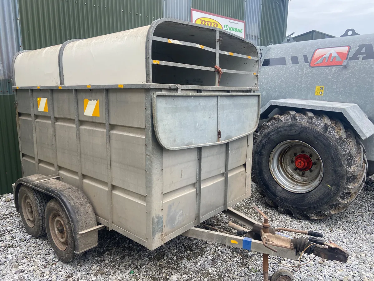 8x5 cow box - Image 2