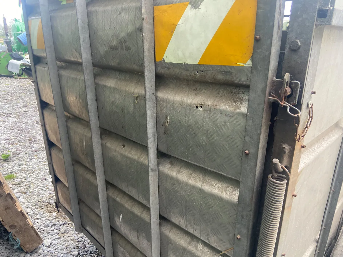 8x5 cow box - Image 4