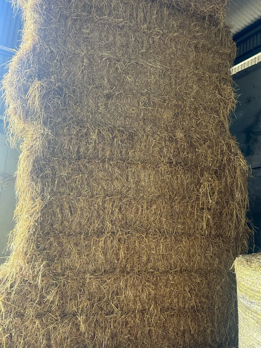 Straw and hay - Image 1