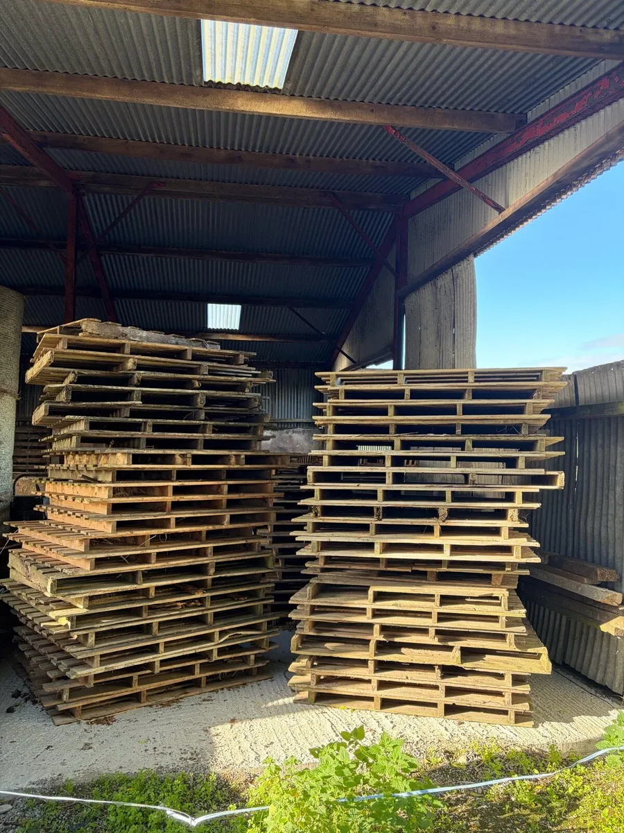 Pallets for sale (dry) - Image 2