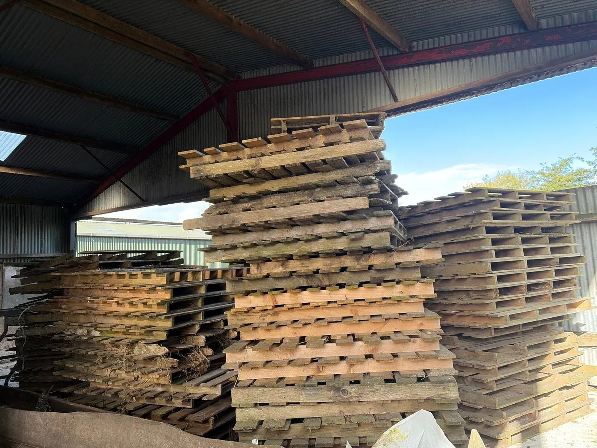 Pallets for sale (dry) - Image 1