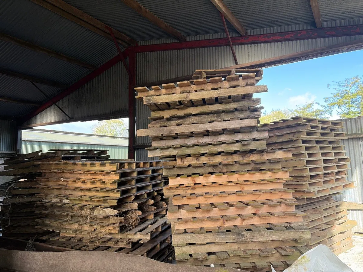 Pallets for sale (dry) - Image 3