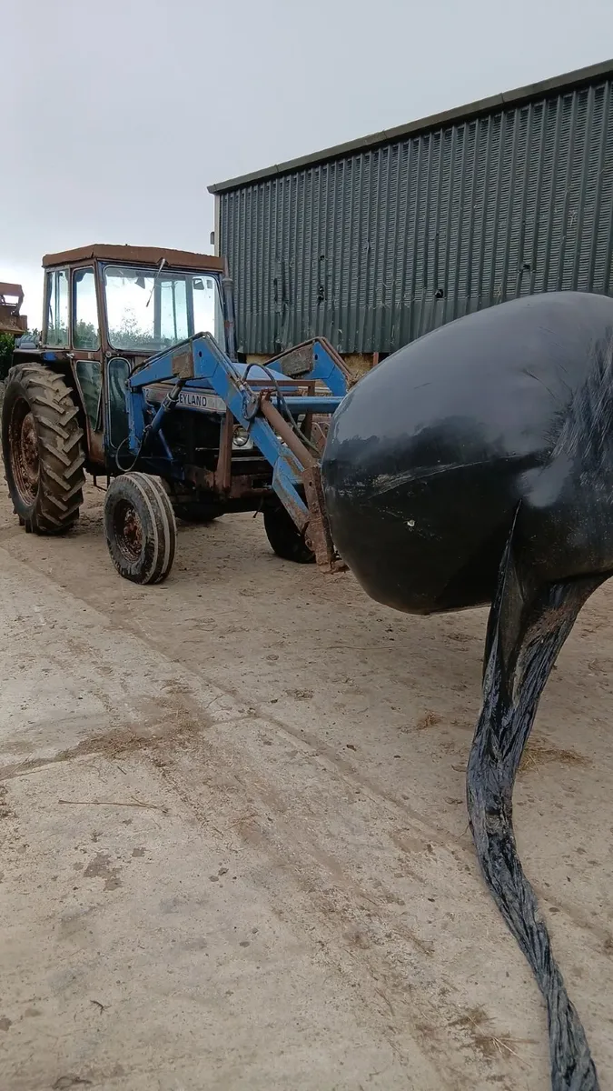 Leyland 272 with loader for sale - Image 2