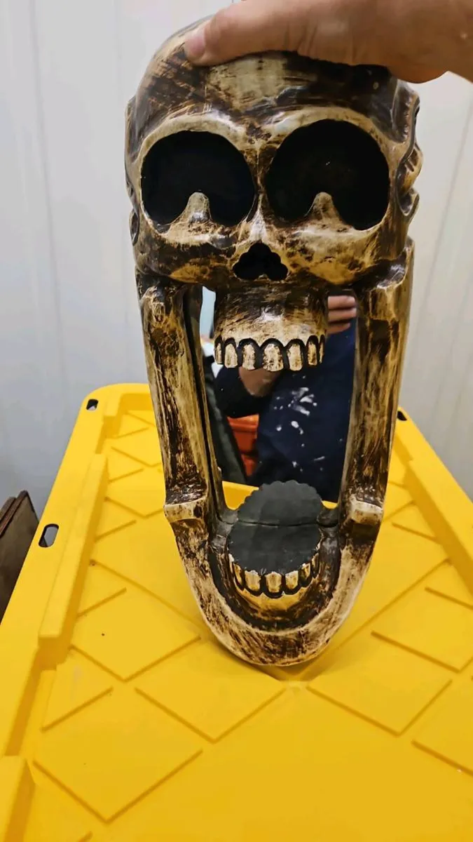 Skull mirror