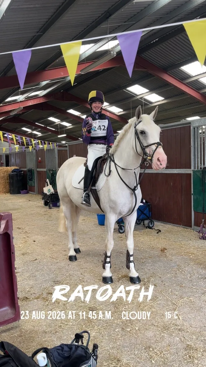THE ULITMATE JUNIOR/SENIOR PONY CLUB DREAM - Image 2