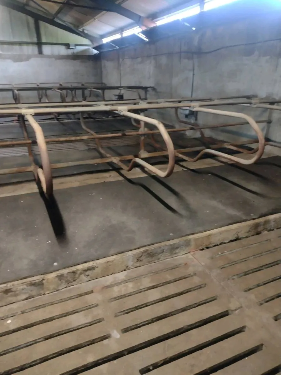 Continuous rubber mats - Image 2