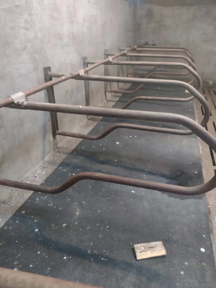 Continuous rubber mats - Image 4