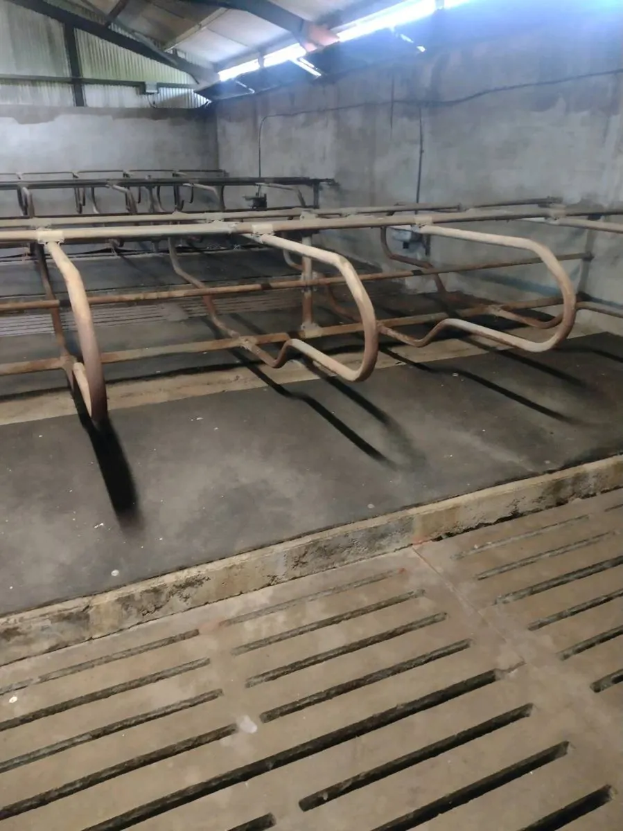 Continuous rubber mats - Image 3