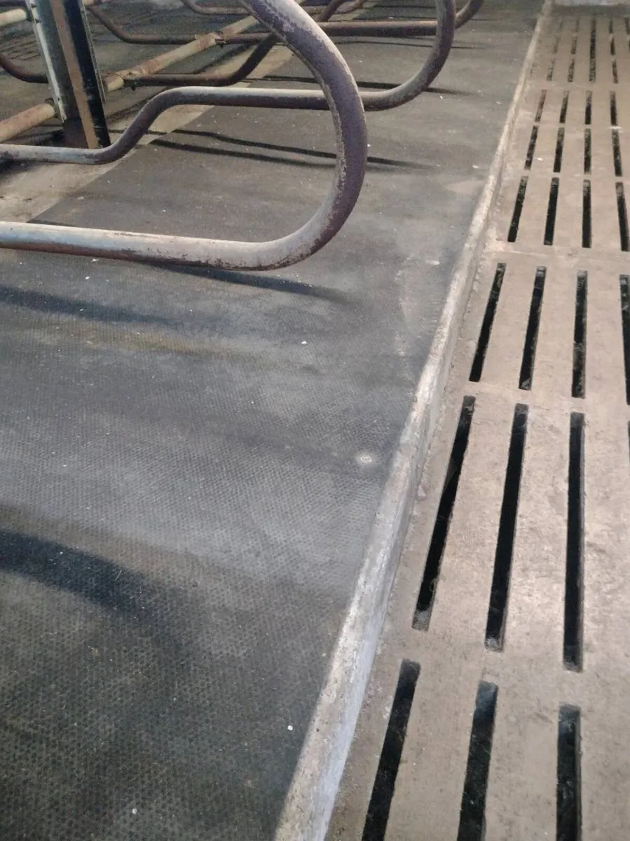 Continuous rubber mats - Image 1