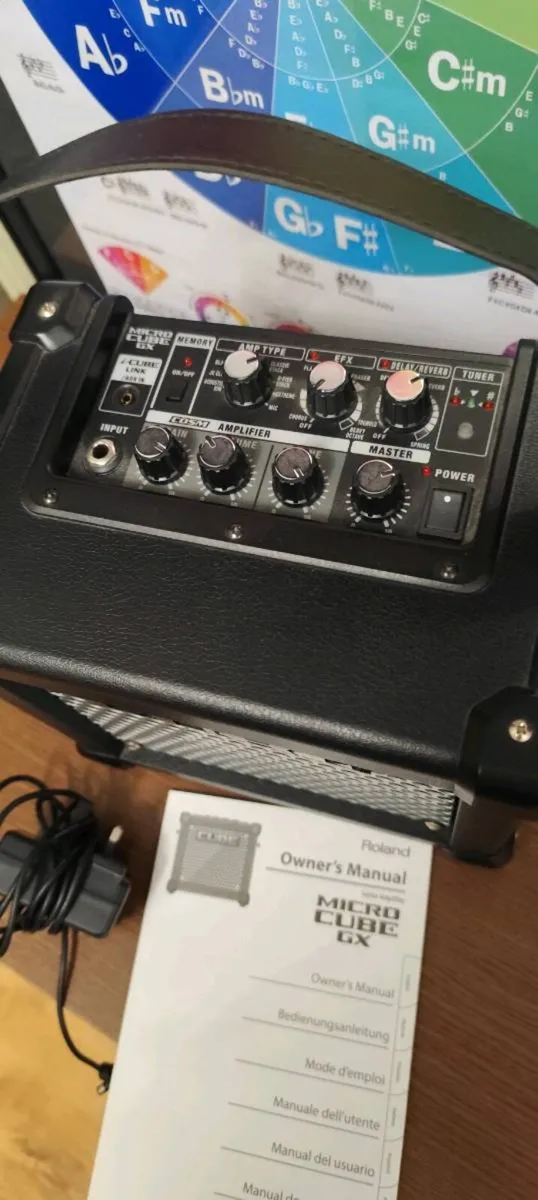 Roland Micro Cube GX Amp - Image 4