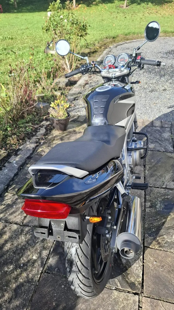 SUZUKI GS 500 2003 A2 FRIENDLY - Image 4