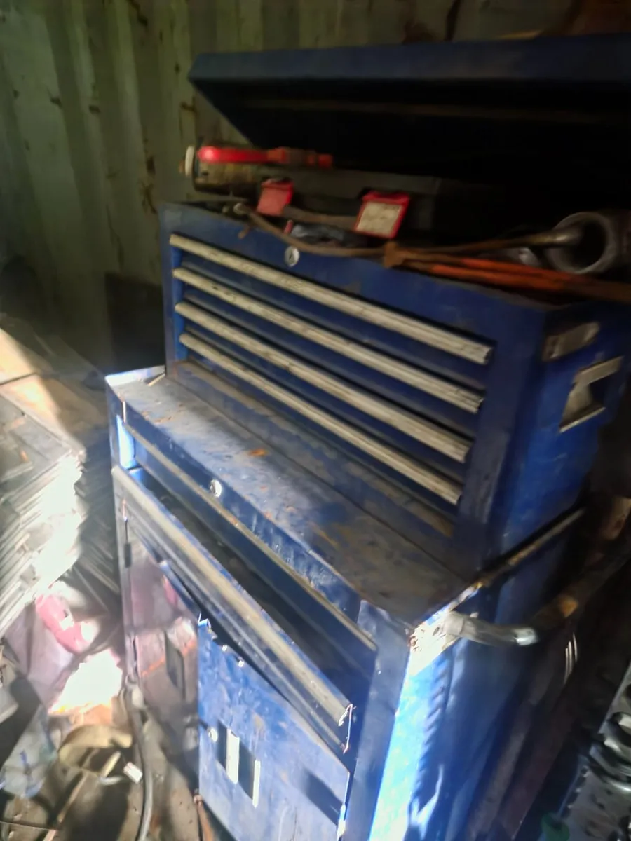 40ft CONTAINER - Image 3