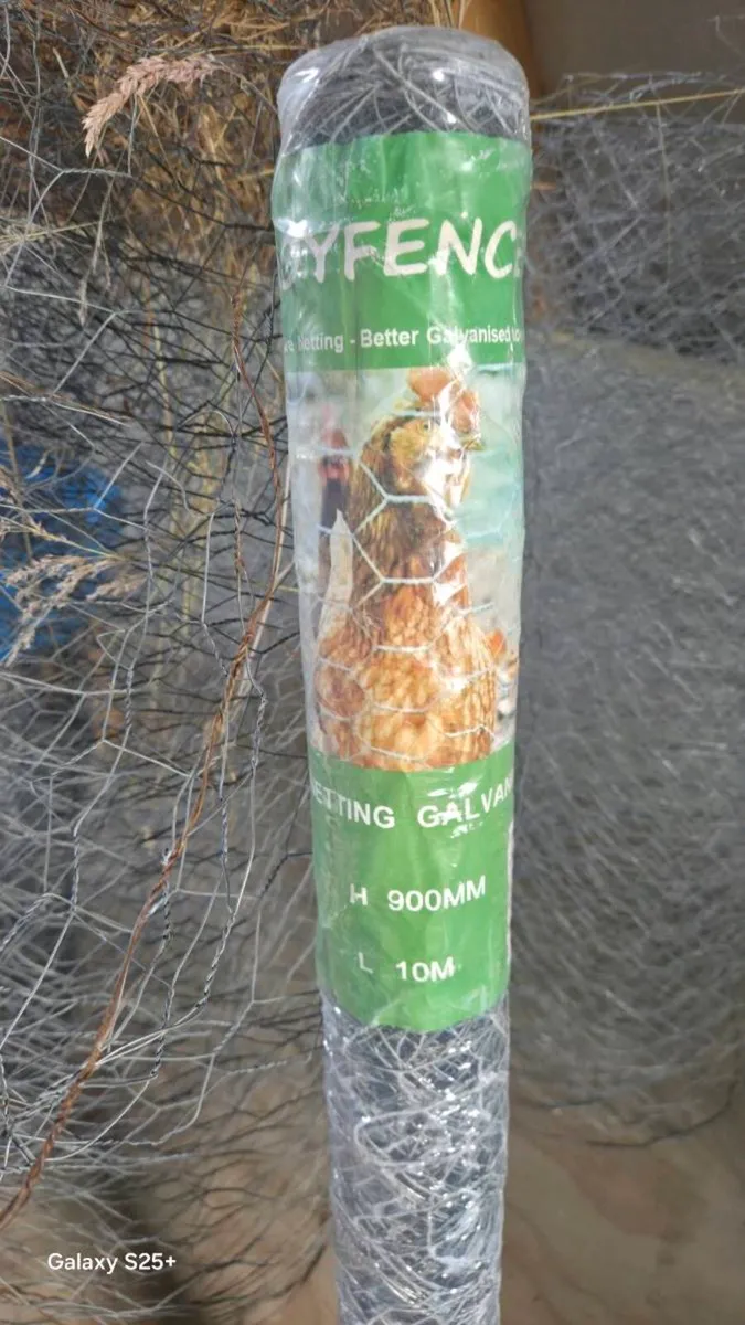 Mesh chicken wire and posts - Image 2