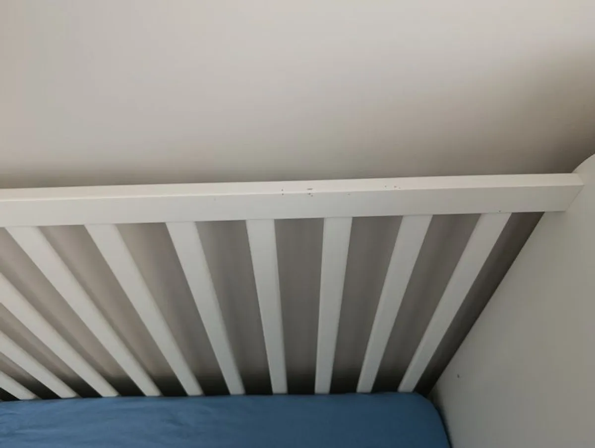 Cots - Image 3
