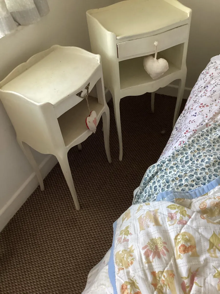Two French bedside lockers - Image 1