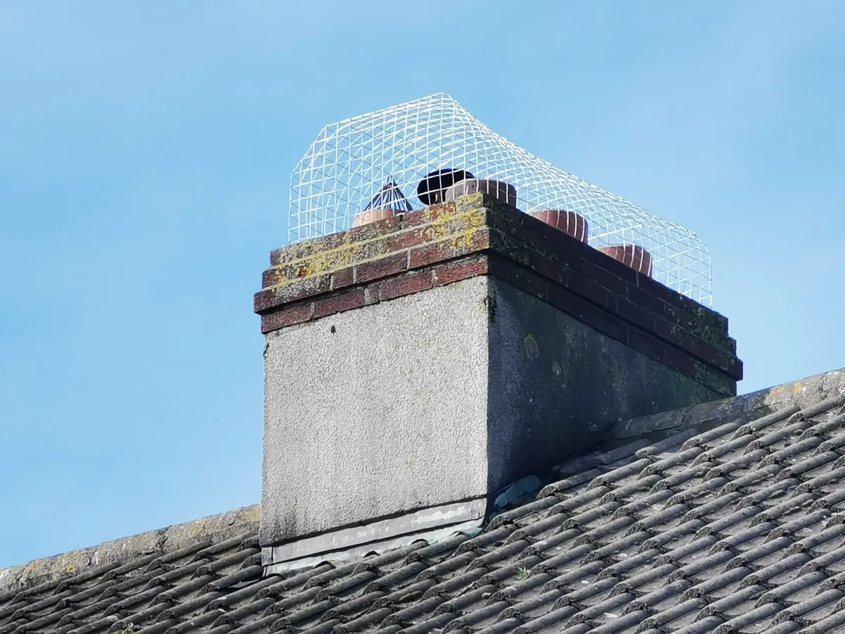 Chimney Seagull Cages - Image 1