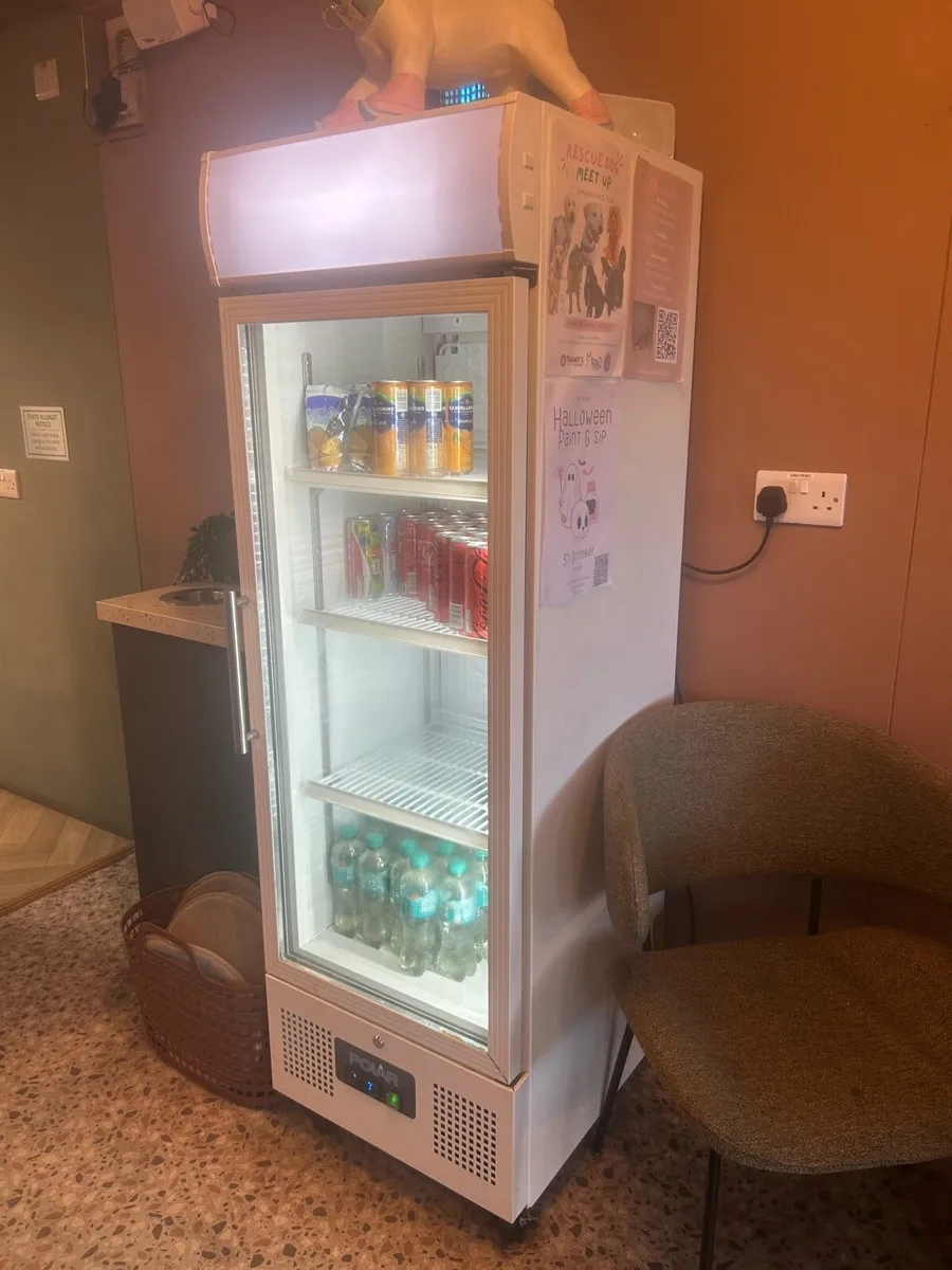 Display fridge - Image 3
