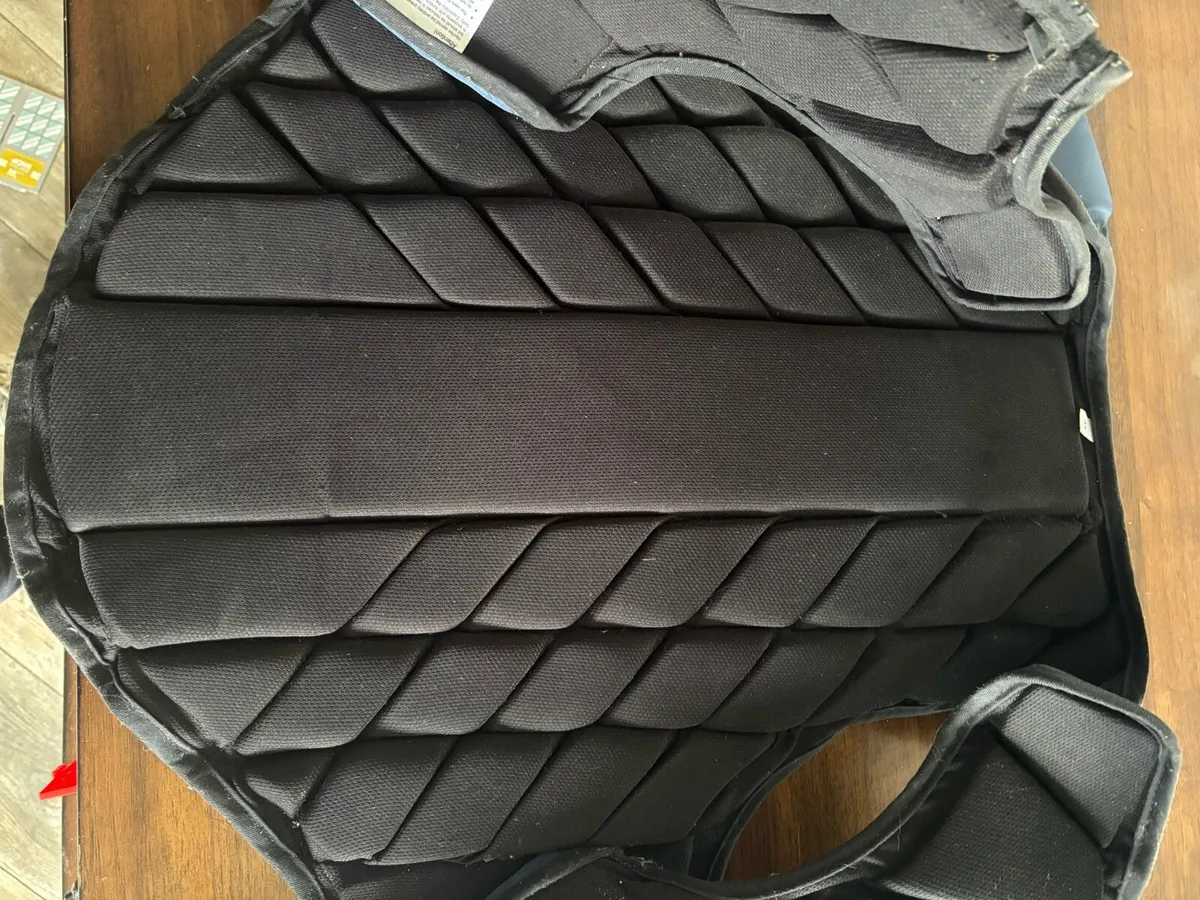 Horse riding back protector - Image 2